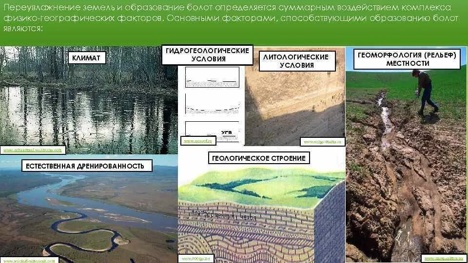 Какие условия необходимы для образования болот. Причины заболачивания почв. образование болот заболачивание. причины заболачивания территорий. естественная дренированность территории.