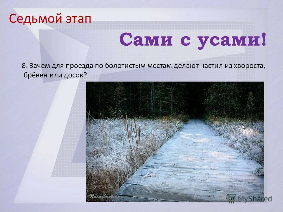 различение частиц не и ни. простые и составные числа. запятые ставятся 4 класс проект. зачем для проезда по болотистым местам делают. зачем для проезда по болотистым местам делают.