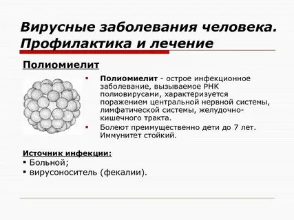 Вирусная инфекция сердца