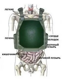 Сердце в бронежилете