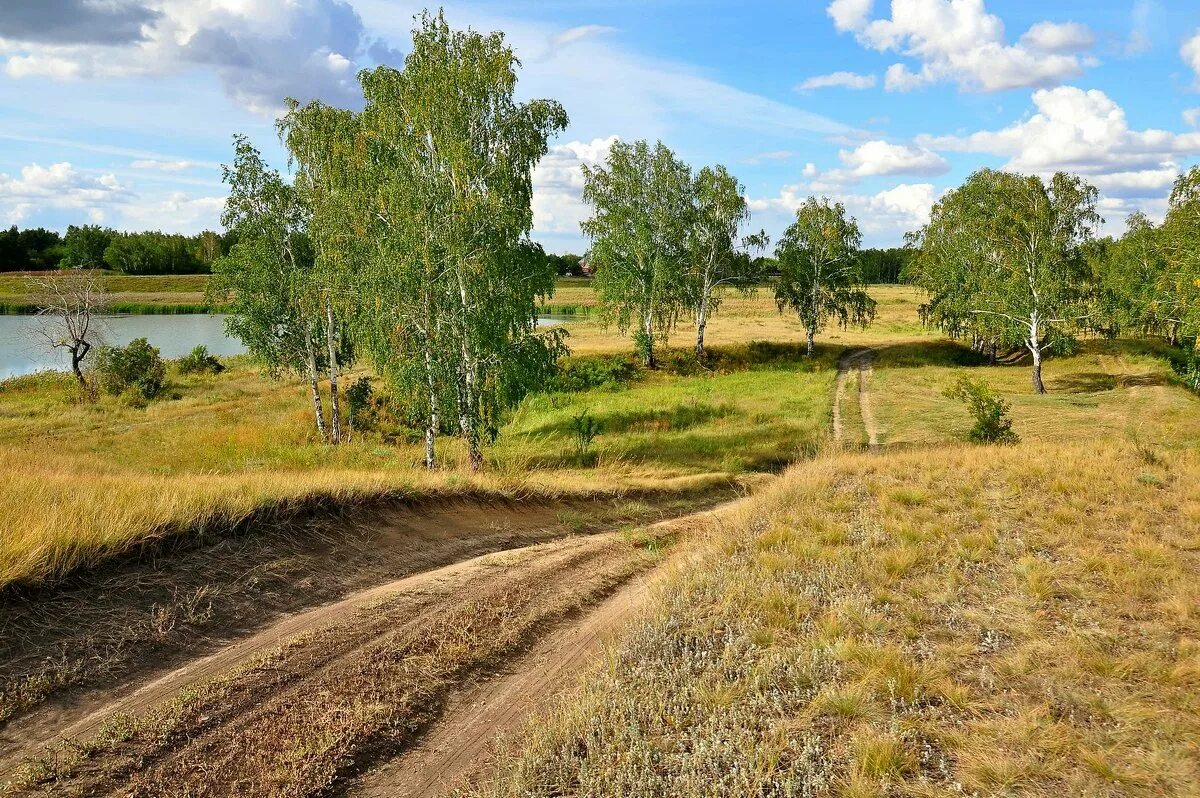 Природа родного края. Чудская гора омская область. Река омь омская область. Родной край омск. Природа моей родины.