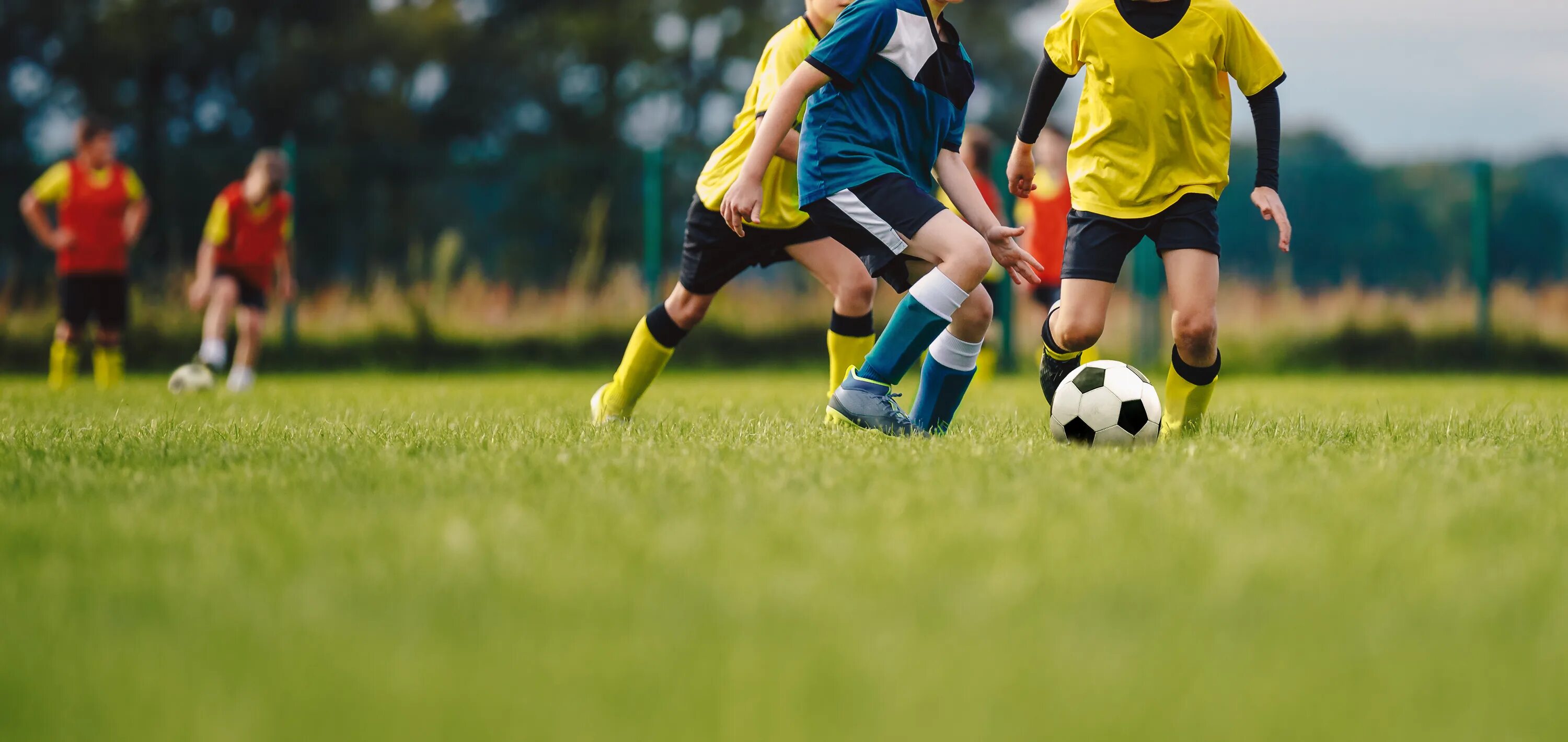 Playing soccer reading answers. Playing soccer reading answers