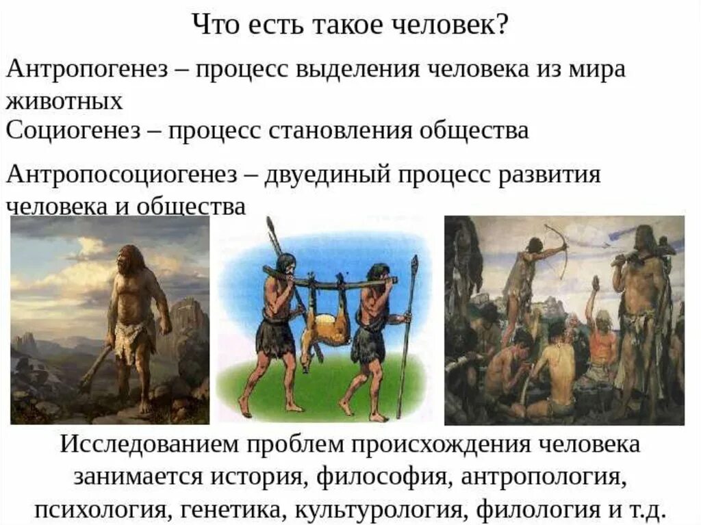 Лучшие представители человеческого общества. Социогенез человека. происхождение человека и общества. теории происхождения человека антропогенез. процесс становления общества.