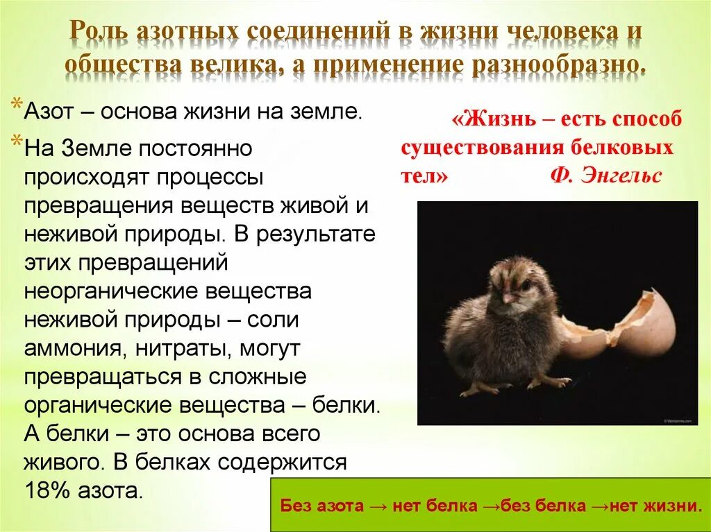 Азот необходим живым. Роль азота в жизни человека. Азот в жизни человека. Азот в природе и жизни человека. Значение ахота в жизни человека.