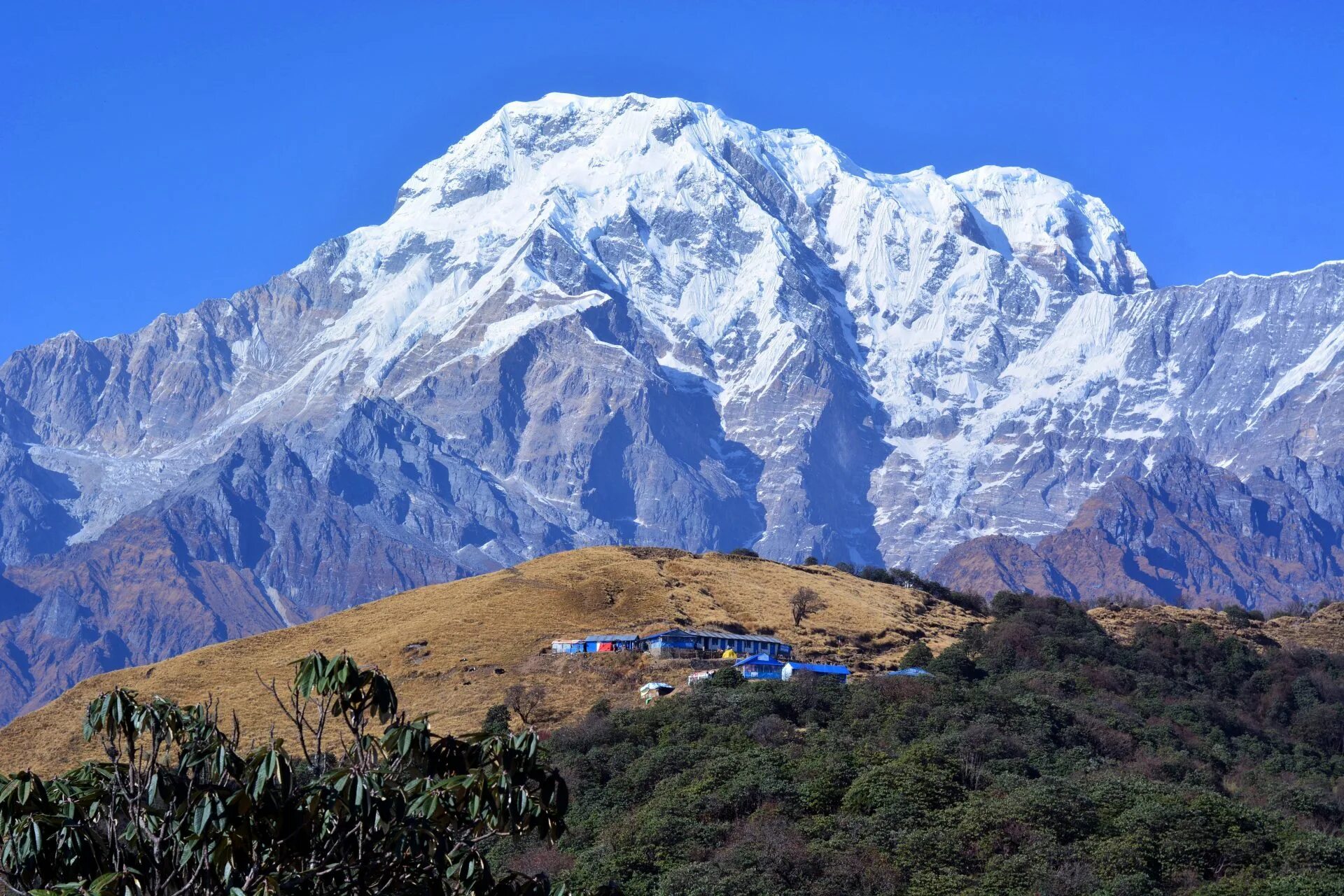Непал выход к морю. Марди химал непал. непал гора аннапурна. mardi himal trek. mardi himal base camp.