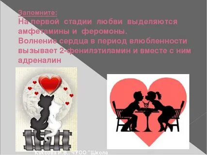 Феромоны любви песня