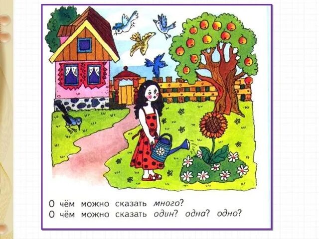 Много один число 1. Много один число 1