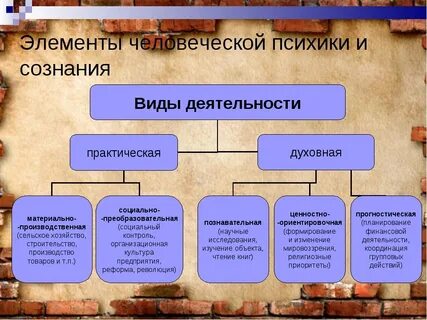 Компоненты сознания