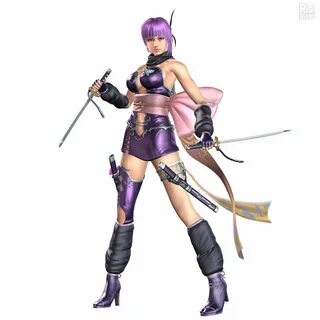Ninja warriors