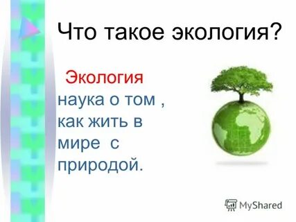 Экологические загадки