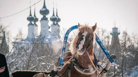Куда сходить в суздале за 1 день