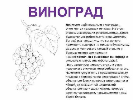 Что значит виноград