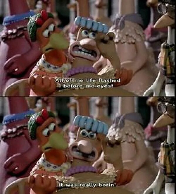 Chicken run 2025