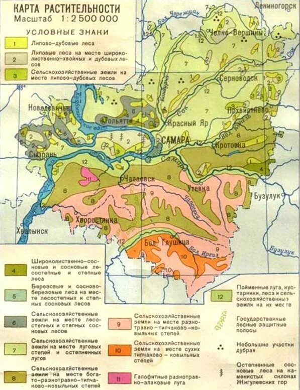 Типы почв контурная карта. Карта почв Самарской области. Карта грунтов Самарской области. Растительность Самарской области карта Самары. Почвенная карта Самарской области.