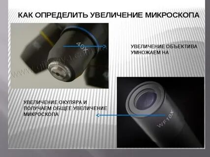 Как определить увеличение которое дает микроскоп