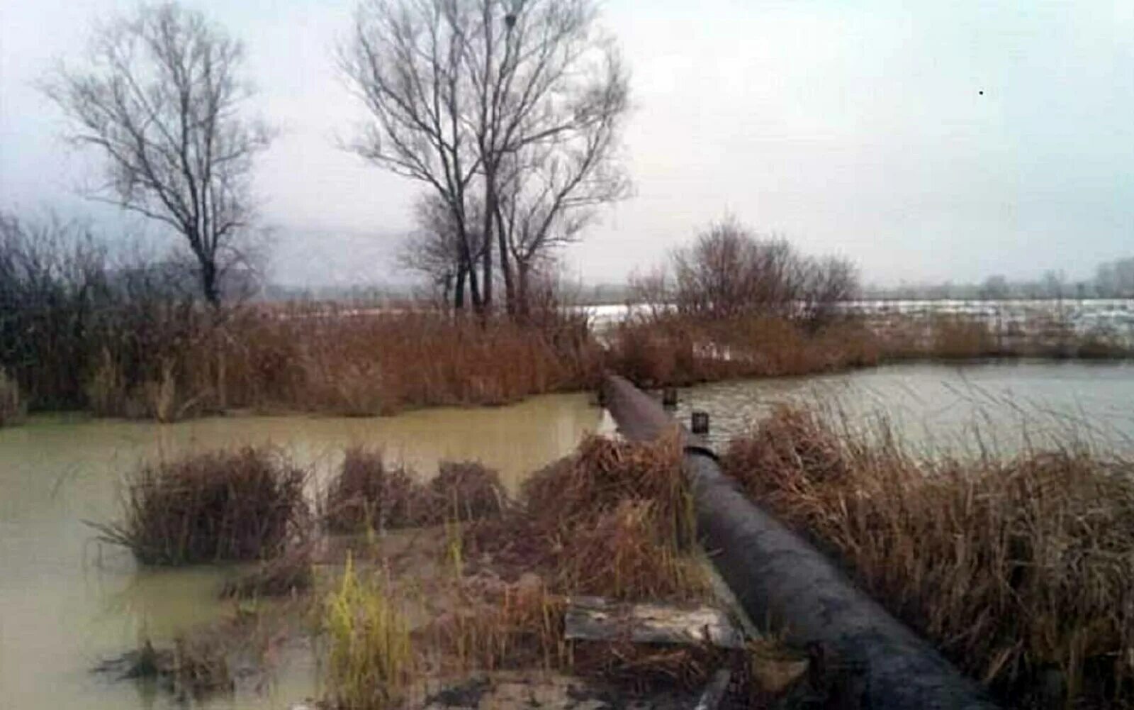 Уровень воды в стерлитамаке сегодня. Река белая Башкортостан загрязнение. Загрязнение рек Башкортостана. Загрязнение вод в Башкирии. Загрязнение рек и озер в Башкирии.