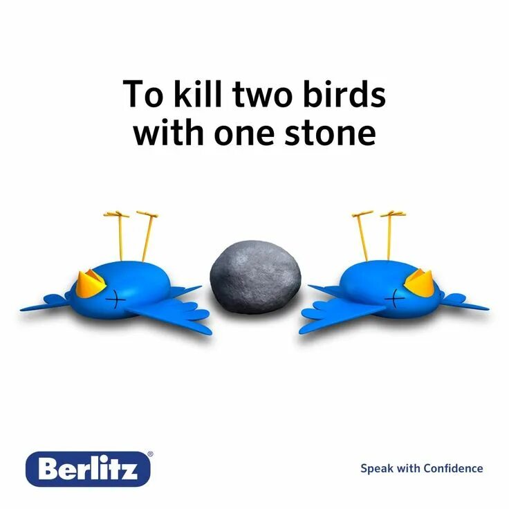 To Kill two Birds with one Stone идиома. Kill two Birds with one Stone. Kill two Birds with one Stone idiom. To Kill two Birds with one Stone происхождение.