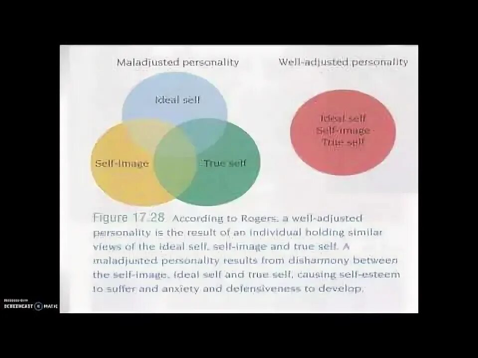 Manual of personality styles