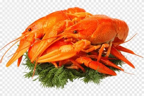 Рак ме
