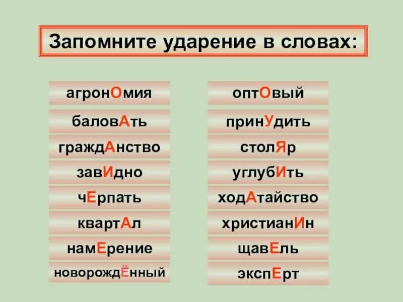 Прочитай обозначь ударение в каждом слове. Ударения в словах. Правильное ударение в словах. Поставьте правильное ударение в словах. Слог ударение.