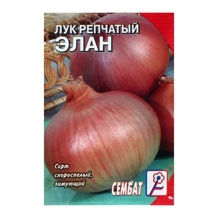 Лук-шалот чиполучо. Лук элан. Лук севок шалот. Лук элан описание сорта. Лук эллан.