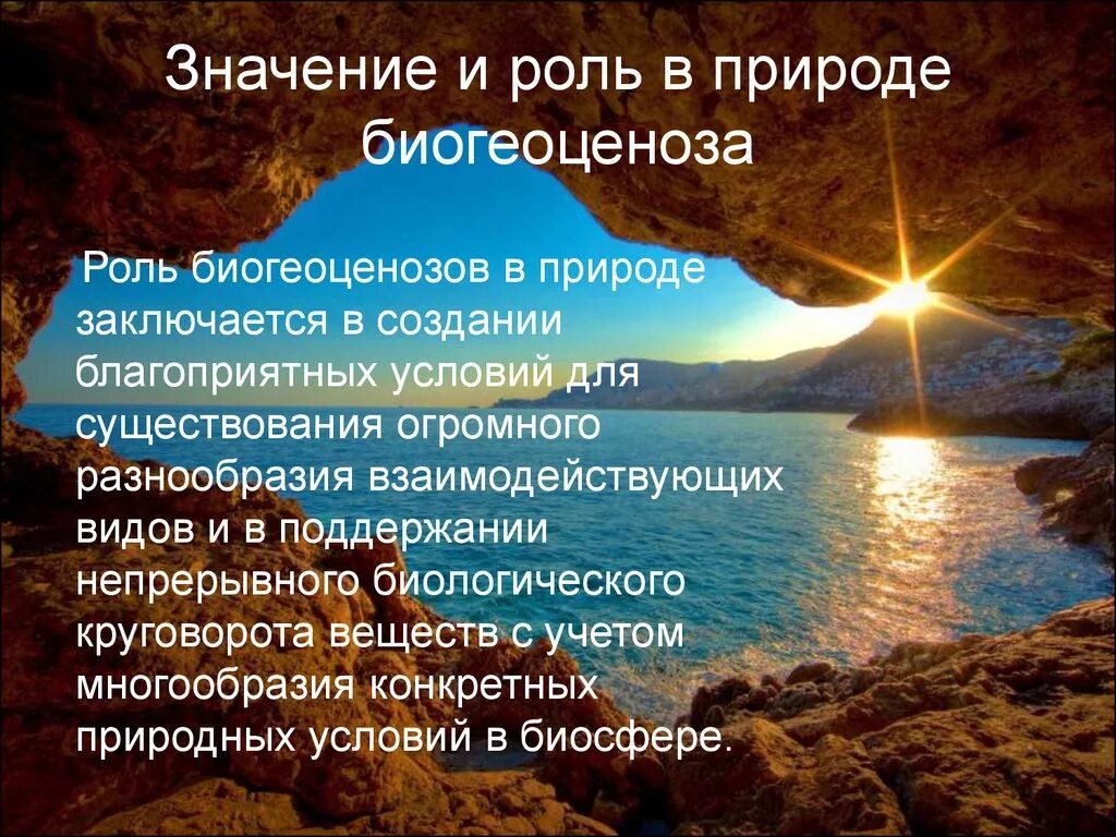 Роль в природных экосистемах. Роль биогеоценозов в природе. Роль биогеоценоза в биосфере. Роль экосистемы в природе. Значение экосистем для человека и природы.