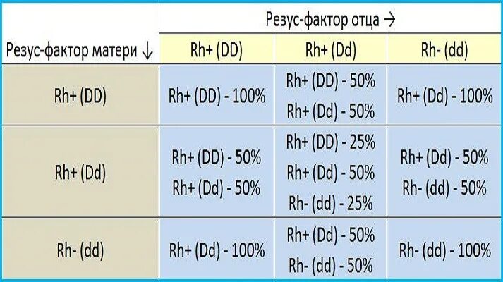 Отрицательный резус процент людей. Резус-фактор таблица наследования. Группы крови таблица наследования с резусом фактором. Наследование групп крови и резус фактора. Таблица наследования групп крови и резус фактора ребенком.