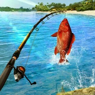 Fish clash