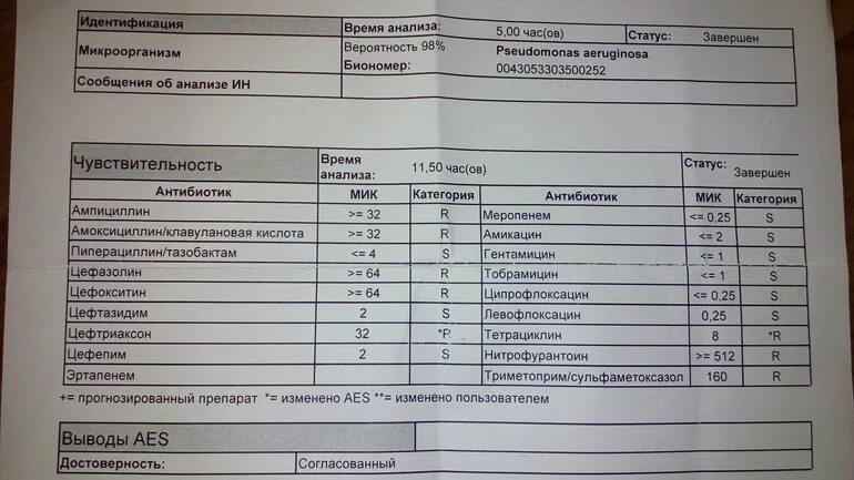 Посев мазка на микрофлору. Бак посев на чувствительность к антибиотикам расшифровка. Анализ мочи посев на микрофлору. Микрофлоры анализы на чувствительность. Анализ на флору и чувствительность к антибиотикам у ребенка.