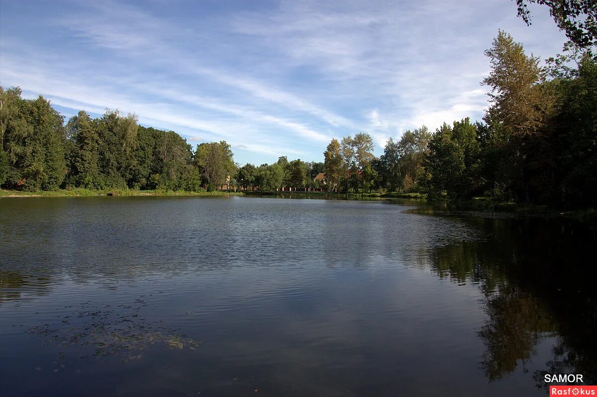 салтыковка пруд