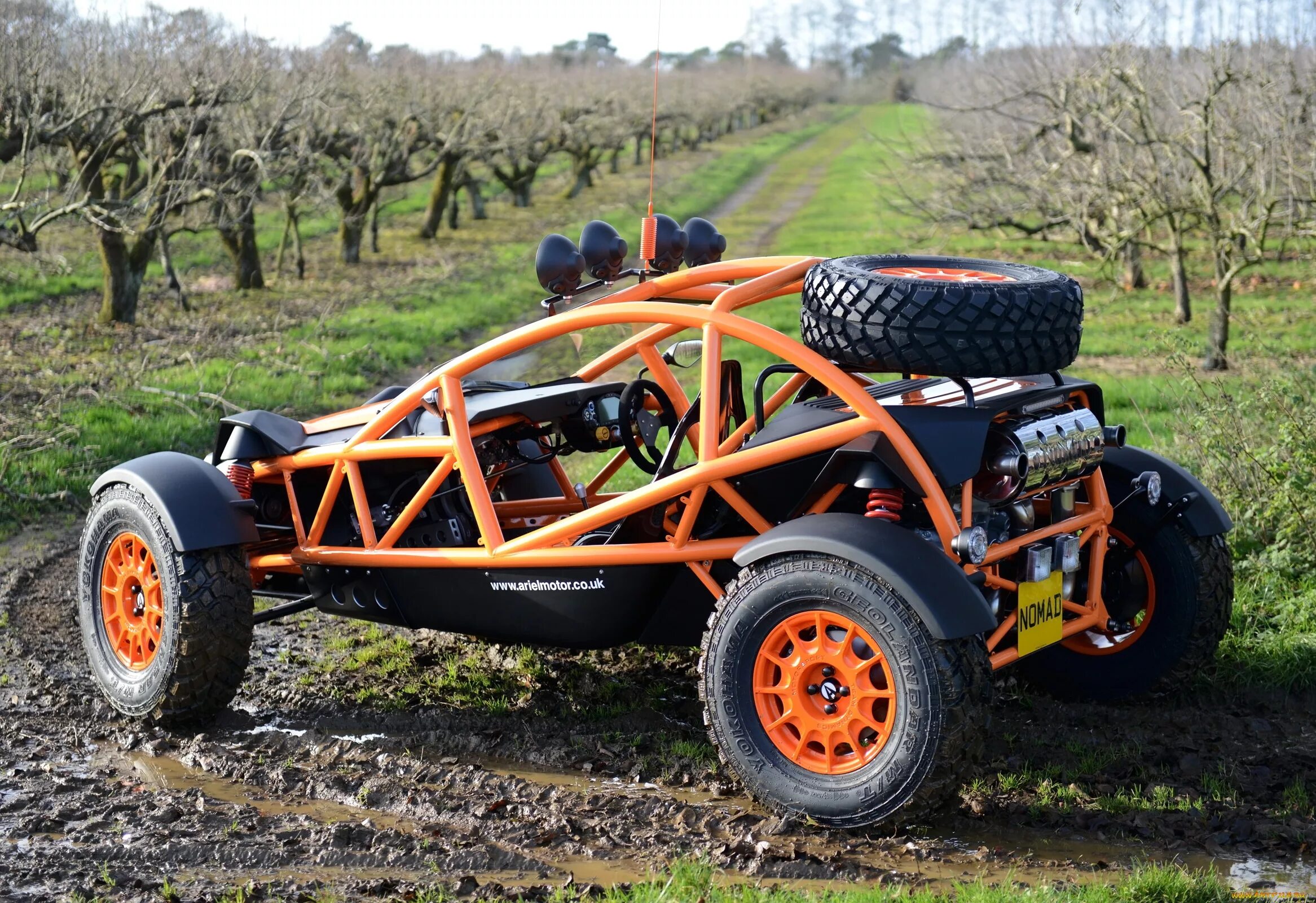 Купить самодельную багги. Ариэль Номад багги. Багги Ariel Nomad 2021. Багги Ariel Nomad 2020. Ariel Nomad машина.