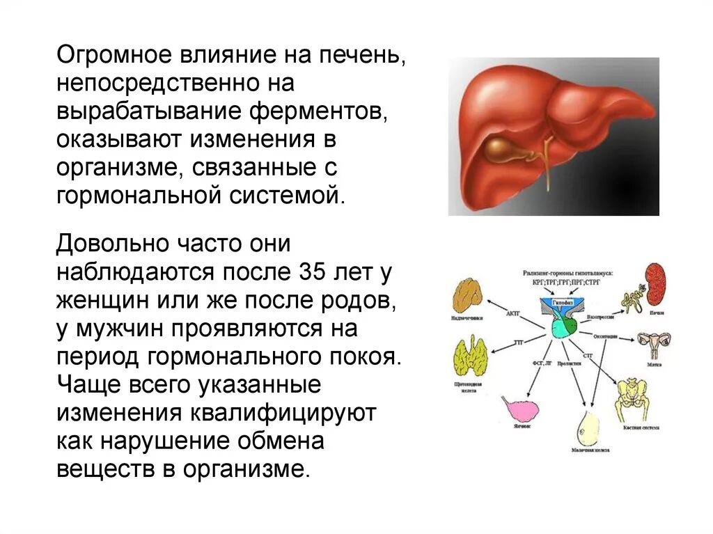 Как таблетки влияют на печень