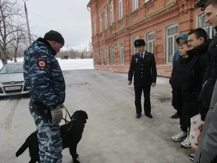 Мо вольский