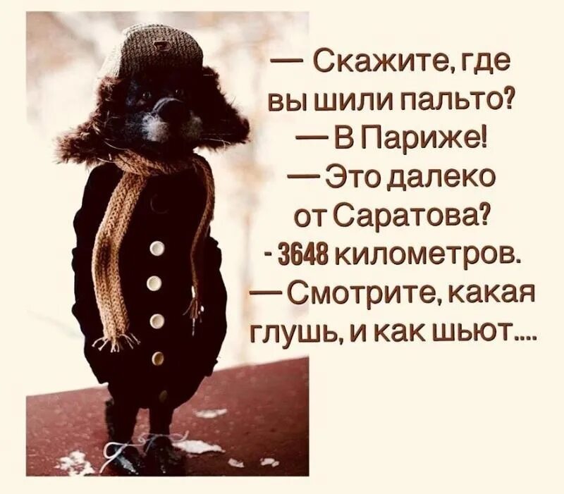 Не то пальто выражение. Вы где пальто шили. картинка где вы шили такое пальто. где вы шили пальто в париже скажите а далеко. где вы шили пальто в париже.