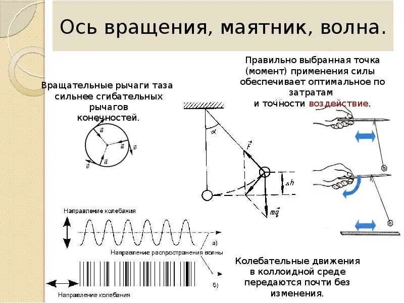 Движение маятника