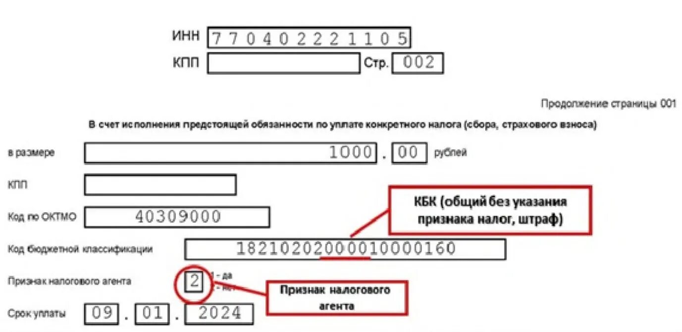 Октмо ндфл 2024. Кбк ЕНП. Кбк ЕНП 2023. КНД 1165171 образец заполнения. Кбк ЕНП 2024.