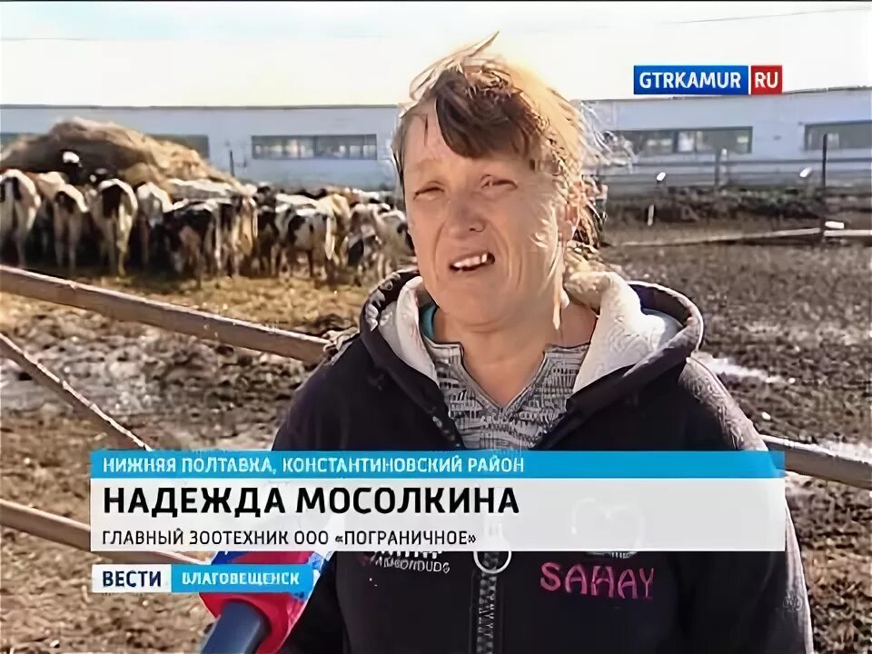 Погода в нижней полтавке на сегодня. Погода в нижней полтавке на сегодня. Деревня полтавка. Погода в нижней полтавке на сегодня. Верхняя полтавка амурская область.
