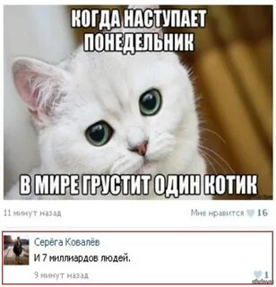 Когда же будет год человека