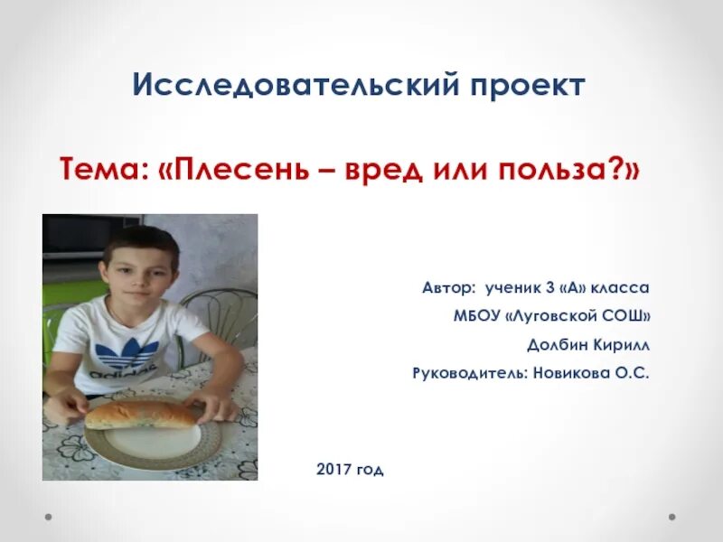 Исследовательский проект на тему плесень Исследовательский проект на тему плесень