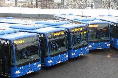 Отзывы о работе автобусов мосгортранса