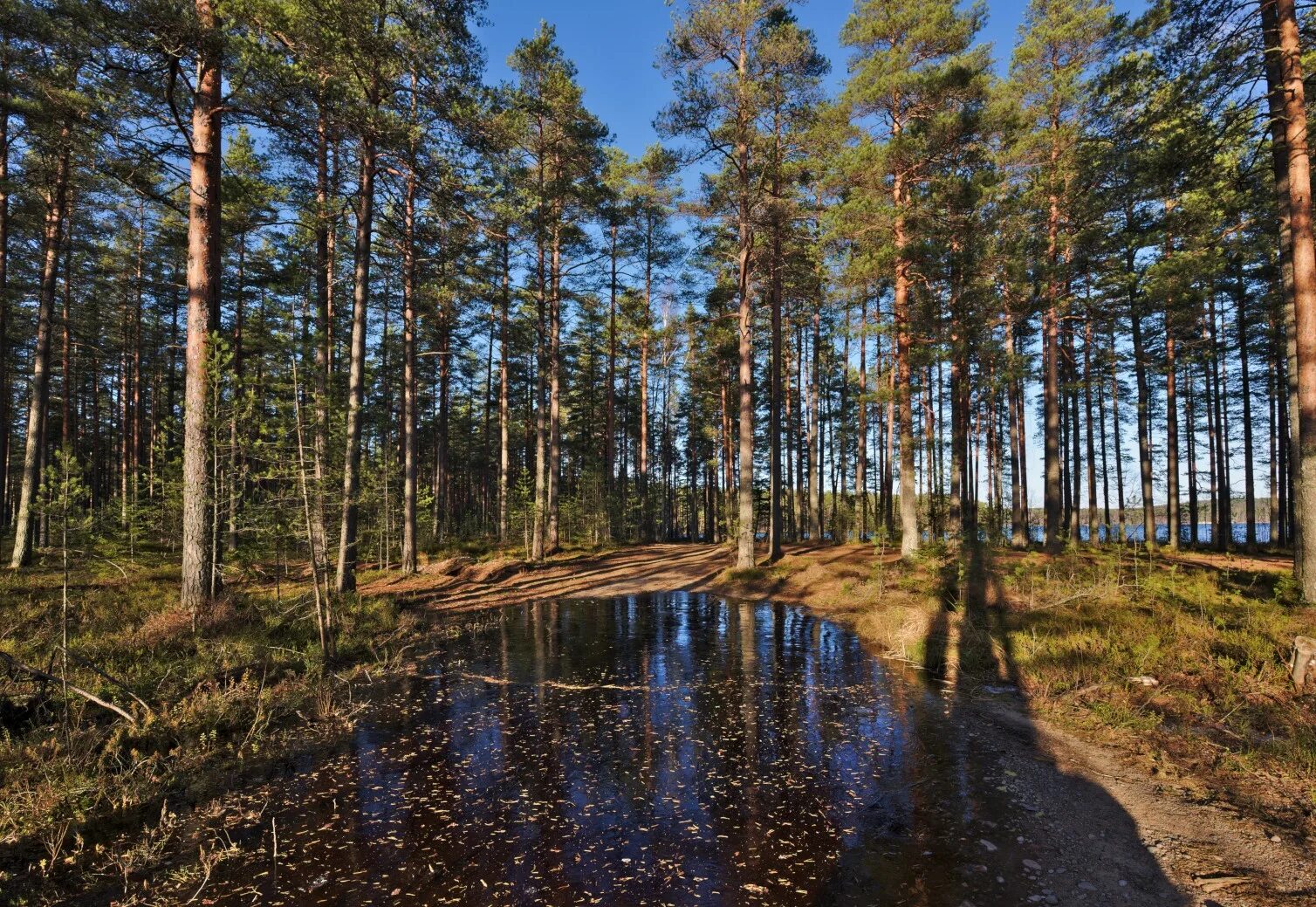 Снт семиозерье 2. Прогноз погоды семиозерье лен обл выборгский. Посёлок семиозерье ленинградской. Озеро победное каннельярви. Семиозерье поселок поляны.