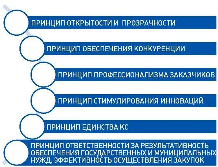 Принципы организации торгов. Принципы госзакупок. Основные принципы госзакупок. Принципы осуществления гос закупок. Главные принципы тендера.