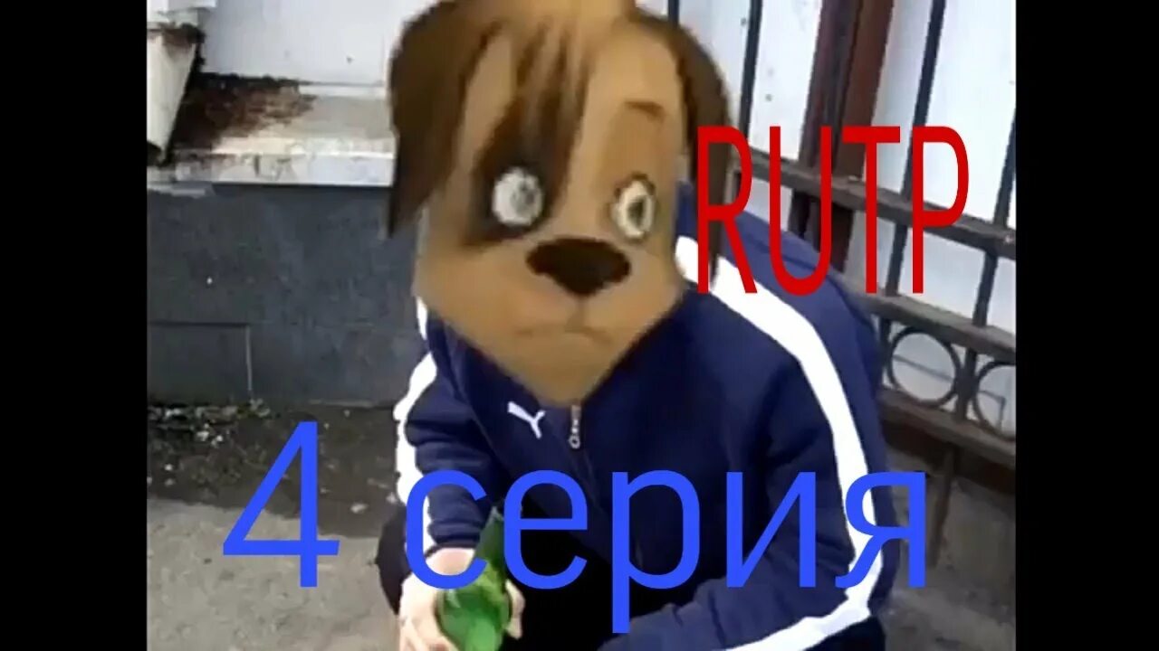 Pin van Eseniya op Мемы