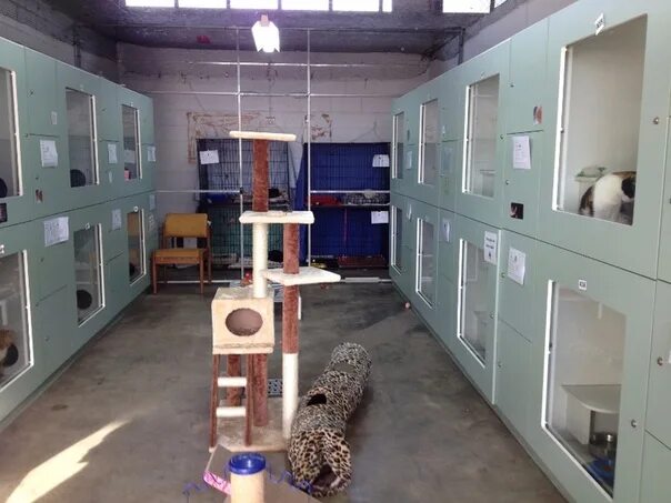Room divider, Furniture, Decor