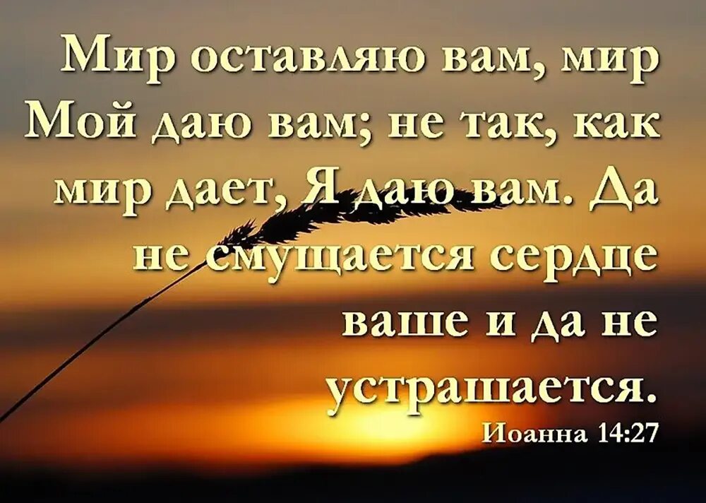 Мир мой даю вам. Мир оставляю вам мир мой. Мир мой оставляю вам мир мой даю вам. Да не смущается сердце ваше.