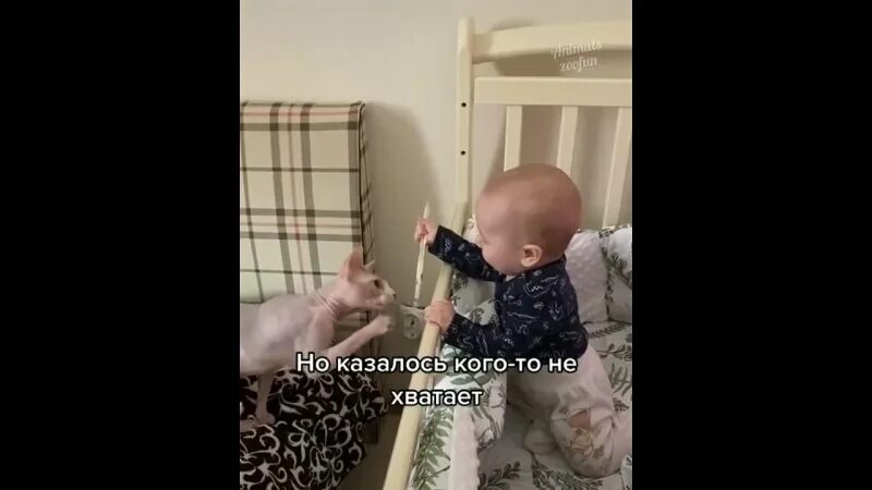 Коммунальный рай без хлопот и забот песня.