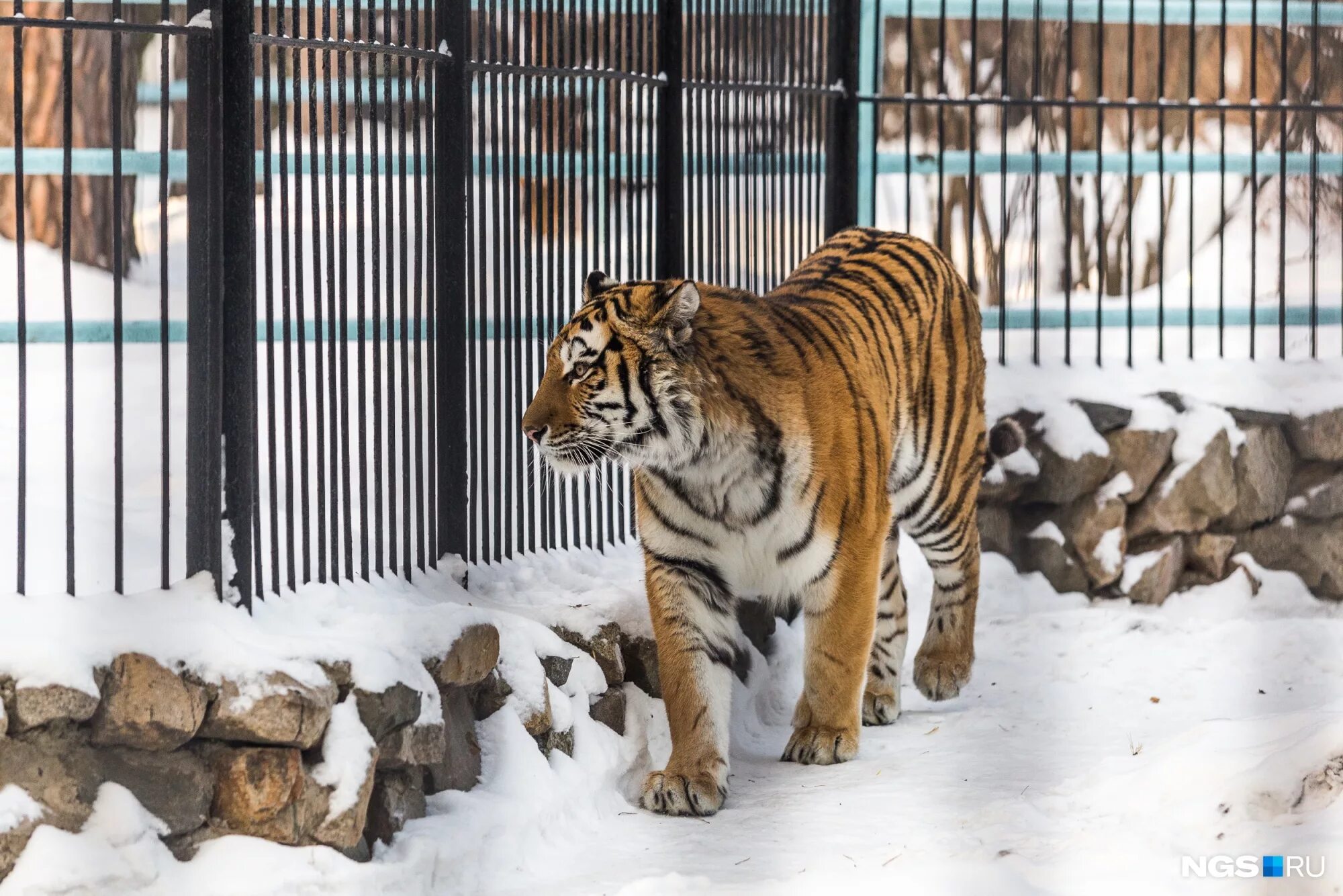 московский зоопарк вольеры