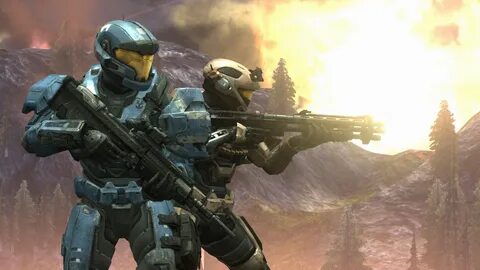 Halo answers 2024