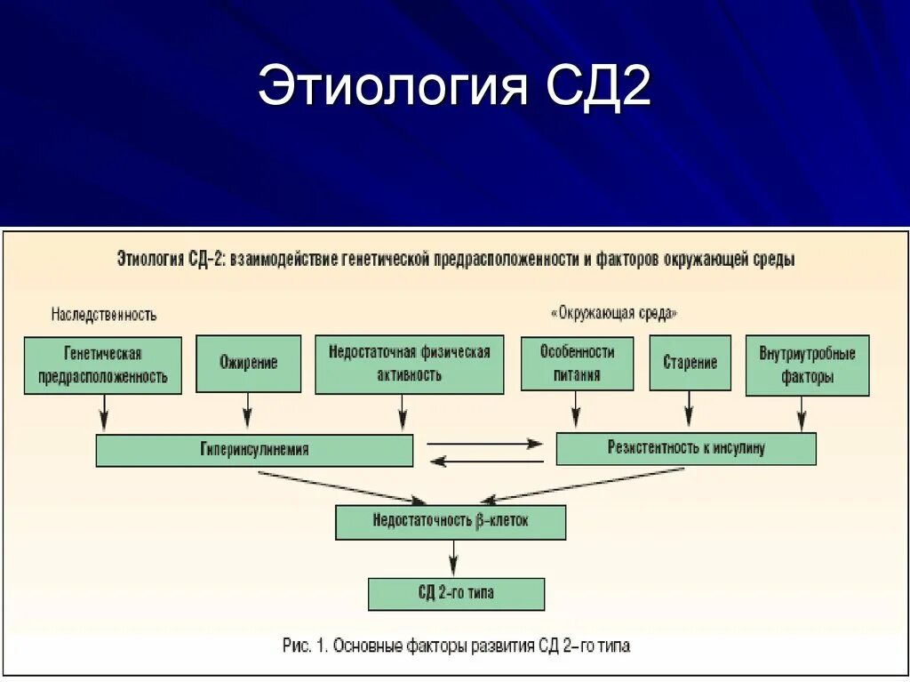 Тема сд. СД 2 этиология патогенез. Патогенез сд2 схема. Патогенез СД второго типа. Этиологические факторы сахарного диабета 2 типа.