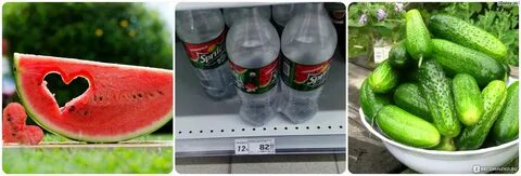 Тест арбуз дыня огурец